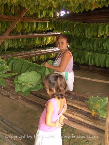 2004 Cuba, Havanna - Maria la Gorda, DSC00534 B_B720